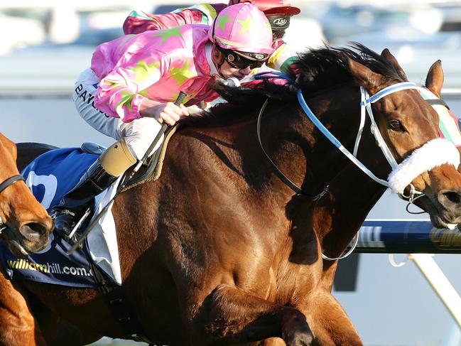 Caulfield Races Race 9 Kenjorwood (no3) centre ridden by Regan Bayliss wins Race 9 ahead of Jacquinot (no4) and Extra Nobel (no14) Picture: Norm Oorloff