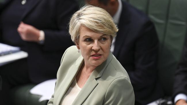 Environment and Water Minister Tanya Plibersek during Question Time at Parliament House in Canberra. Picture: NCA NewsWire / Martin Ollman