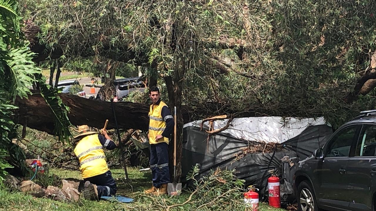 A tree has fallen on a car and a caravan in Arnhem Rd, Allambie Heights. Picture: Jim O'Rourke.