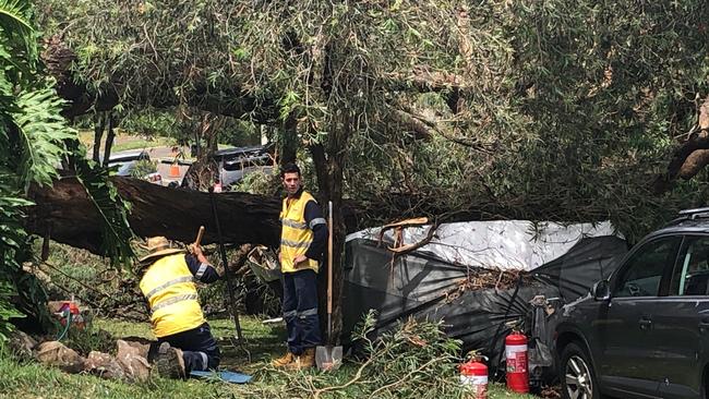 A tree has fallen on a car and a caravan in Arnhem Rd, Allambie Heights. Picture: Jim O'Rourke.
