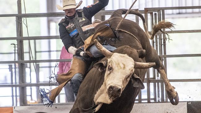 Cody Heffernan struggles to hang on to Pittsworth bull Roger Rabbit during PBR competition at the Toowoomba Showgrounds.