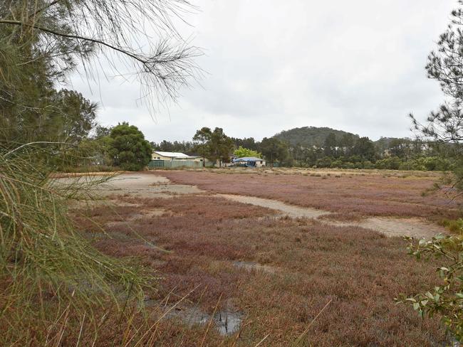 Davistown Wetlands at Davistown. Picture: Troy Snook