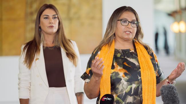 Greens Senator Mehreen Faruqi at a press conference at Parliament House in Canberra. Picture: NewsWire/David Beach