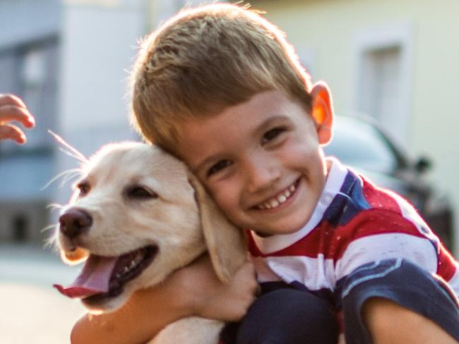 SMART Daily. Pets. Beautiful kids playing with their puppy. Boy and girl are on the street on sunset with small Labrador. Picture: iStock