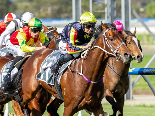 Goldrush Guru scores a win at Morphettville Parks on Saturday. Picture: Makoto Kaneko