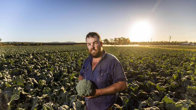 Andrew Lerch on his vegetable farm in Laidley Heights, in Queensland’s Lockyer Valley. Picture: Glenn Hunt