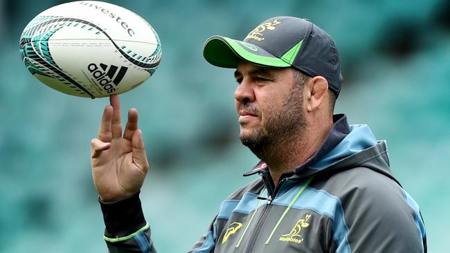 Michael Cheika during the Wallabies training session at Allianz Stadium, Moore Park. Picture: Gregg Porteous