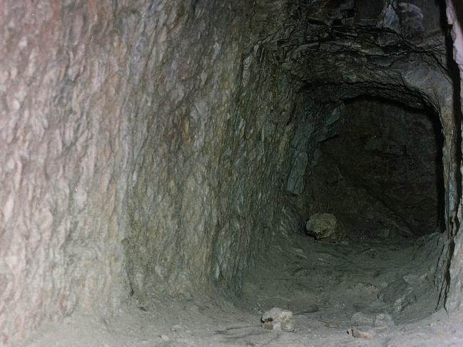 A police officer found Pitt and his victim in this tunnel.