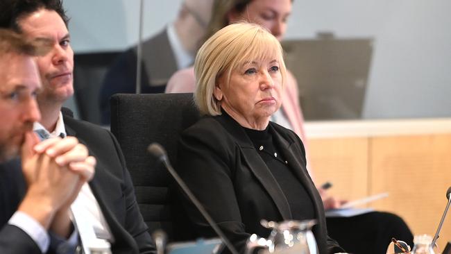 Councillors at the 2024 Budget. Picture: John Gass.