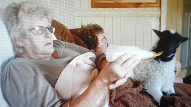 Robyn Jensen caring for a lamb.