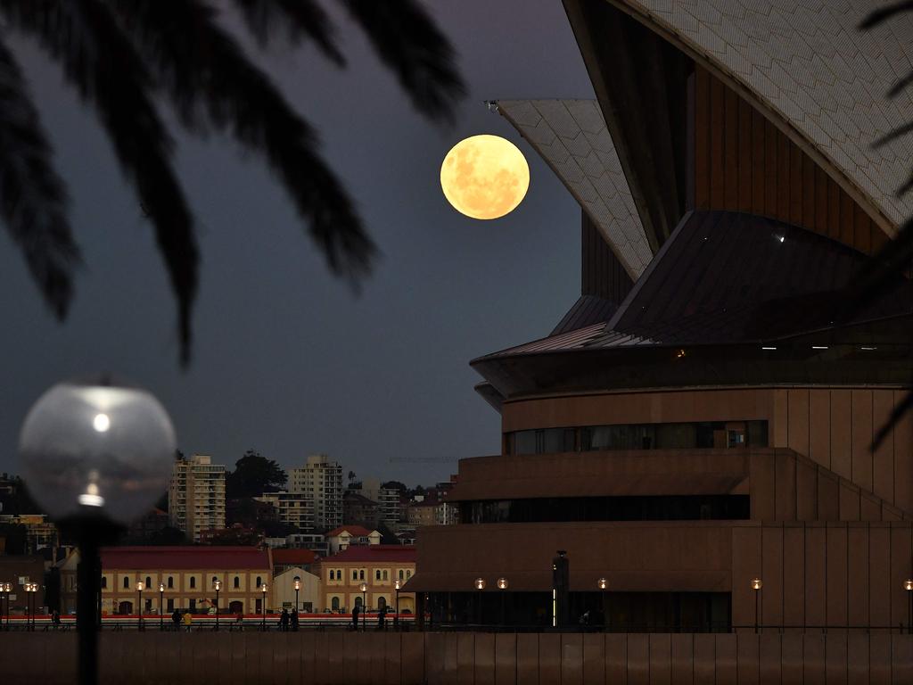 Best places to watch today’s blood moon lunar eclipse in Sydney Daily