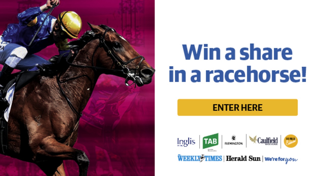 Win a share in a racehorse | Herald Sun