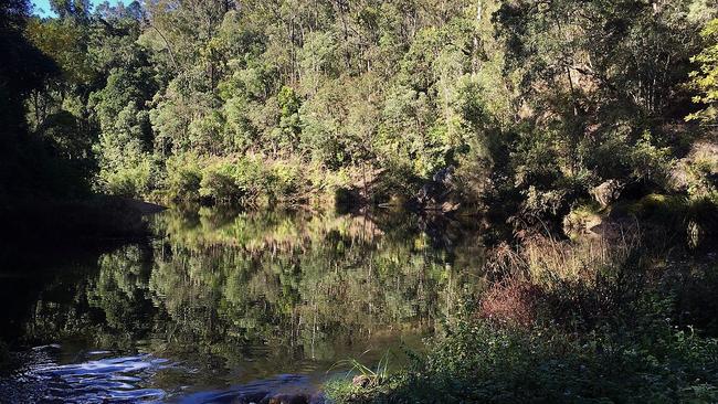 A Department of Environment spokesman said the Charlie Moreland (pictured) and Booloumba Four grounds in the Imbil State Forest and the Conondale National Park will be shut until early June as a result of “substantial damage” to the parks.