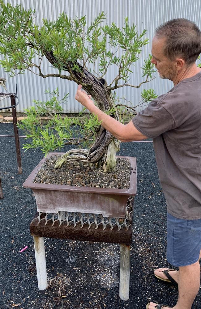 Michael Watt's river swept bottle brush that had been carved to enhance its features which include deadwood highlights. Deadwood on a tree is merely an indication of age. Picture: Janessa Ekert