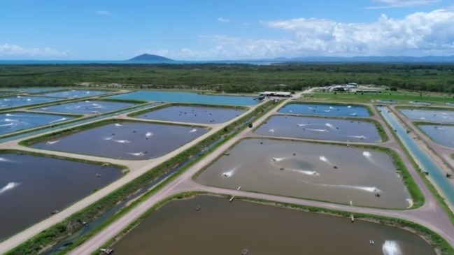 Ilbilbie prawn farm to almost double in size