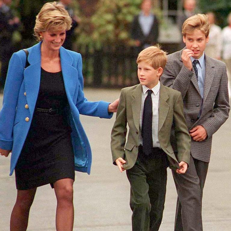 Harry said his mother Diana would be “heartbroken” by what had become of his relationship with his brother William. (Photo by Anwar Hussein/WireImage)