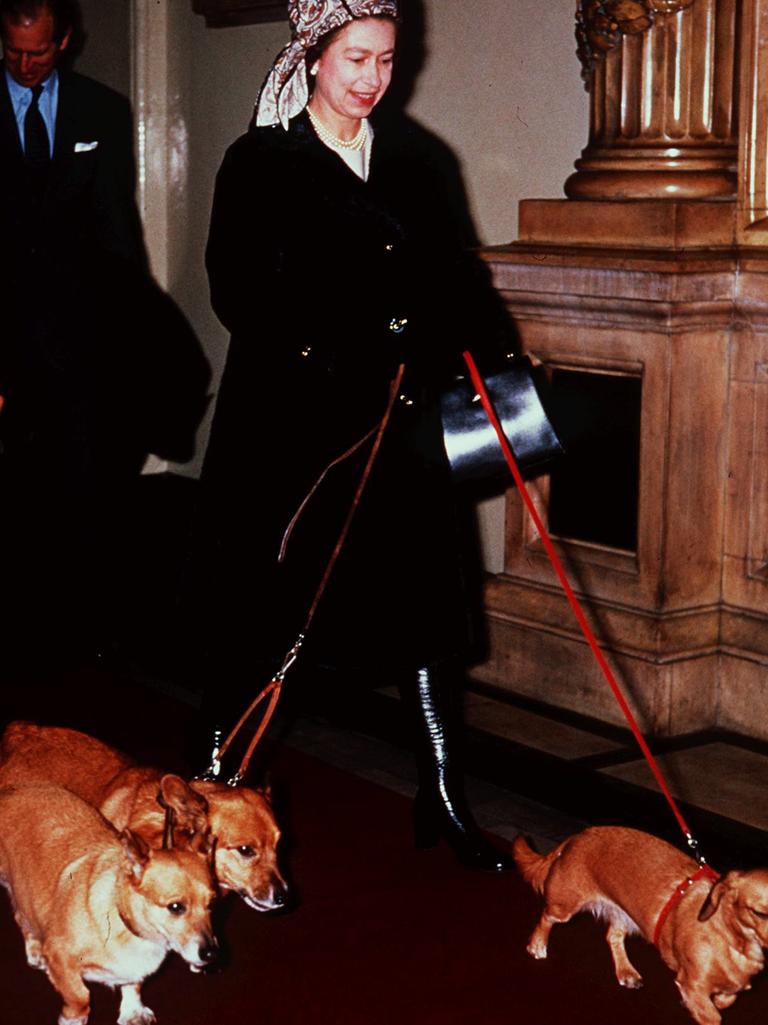 Queen Elizabeth II and her corgi dogs in younger days.