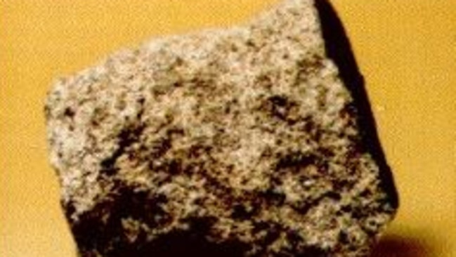 New finding... The martian meteorite, called Nakhla meteorite, which had cell like structures. Picture: National Technical University of Athens