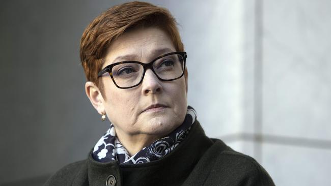 Minister for Women Marise Payne said sexual harassment was keeping women out of industries dominated by blokes. Picture: NCA NewsWire / Gary Ramage