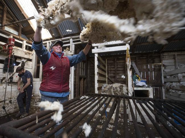 Karen Fish throwing the fleece in the shearing shed at Oatlands. Picture: Chris Kidd