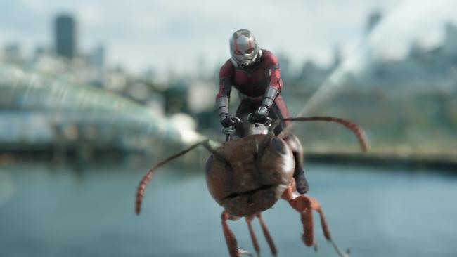 Marvel Studios ANT-MAN AND THE WASP..Ant-Man/Scott Lang (Paul Rudd)..Photo: Film Frame..©Marvel Studios 2018. SHFG Ant-Man and The Wasp, supplied.