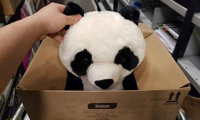 Resize panda box 2
