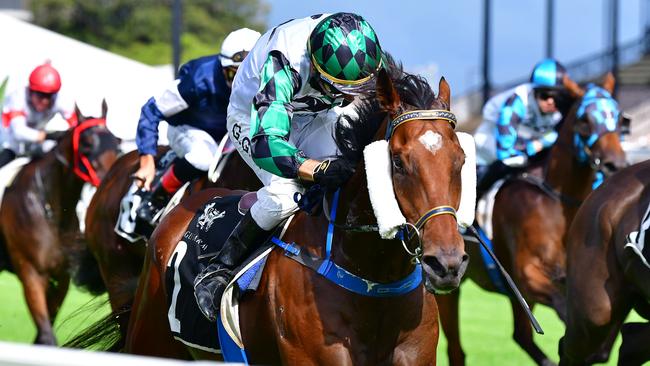 Gary Geran boots home Our Magnus to victory for his son Corey and wife Kylie. Picture: Grant Peters/Trackside Photography