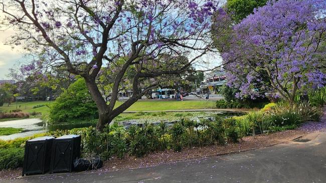 Victoria Park near the University of Sydney. The City of Sydney said the mulch was not used in playgrounds. Picture: Supplied