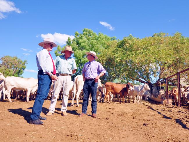 Bob Katter, pictured left with members of Australia's Katter Party Steve O’Connor and Robbie Katter, at a live cattle processing wharf in Karumba.