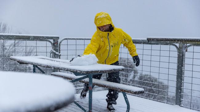 Snow falling on 9.4.2024 at Thredbo. Picture: Supplied