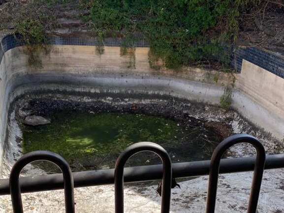 The house at 2 Buchanan Grove, Reynella East has been abandoned for a number of years.