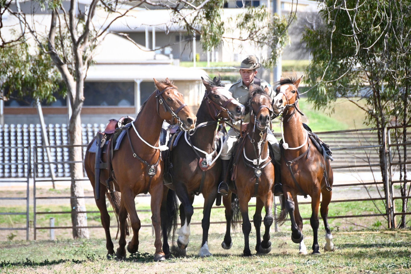 Queensland Mounted Infantry Challenge at the Toowoomba Showgrounds.