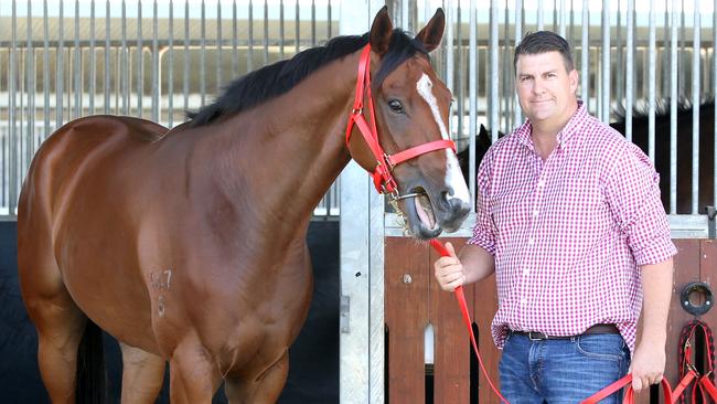 Trainer Chris Anderson with Profit who took out the Class 6 Handicap at the Sunshine Coast on January 29. Picture: Steve Pohlner