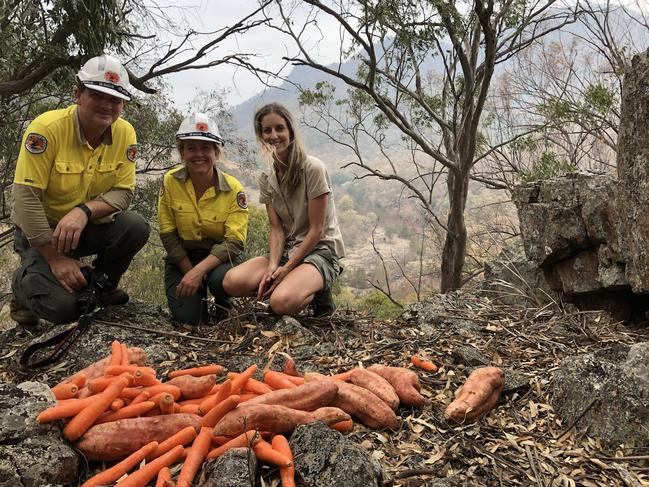 National Parks and Wildlife Service staff and Aussie Ark representatives drop the food off.