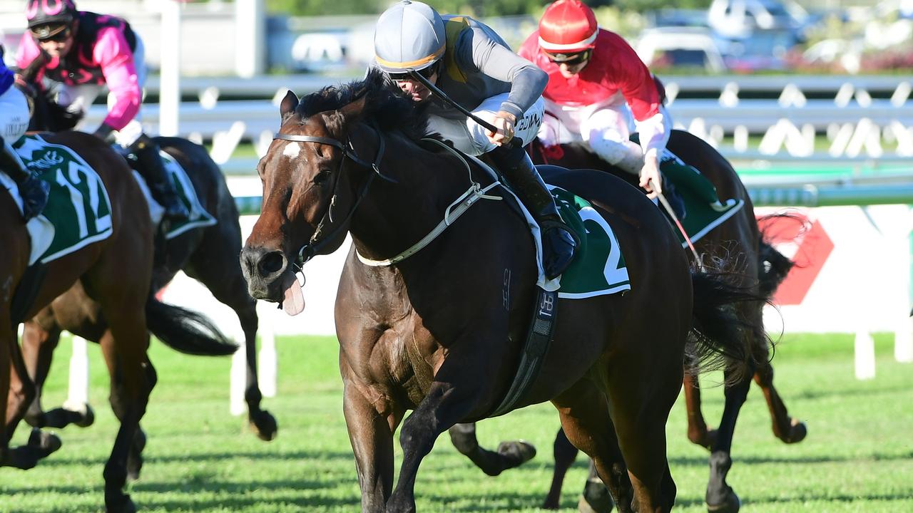 Baller is set to line up in the Stradbroke Handicap on Saturday following his Moreton Cup win. Picture: Grant Peters — Trackside Photography.