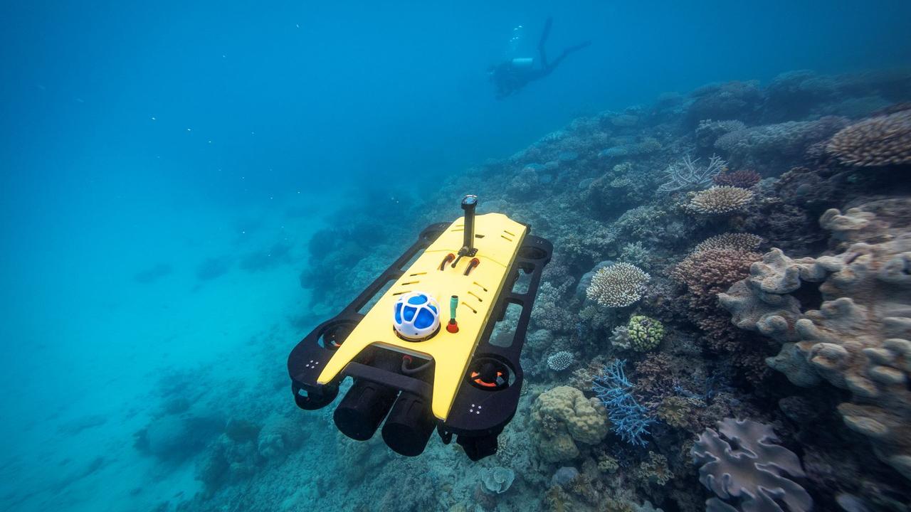 ReefWorks wins exception to permit rule for aquatic drones | Townsville ...