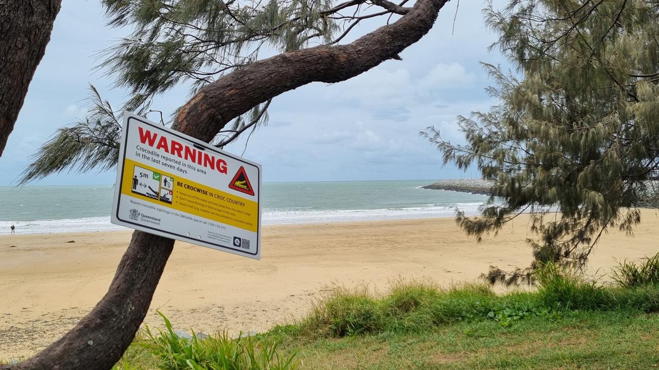 Teh croc has been harassing surfers, swimmers and fishermen. Picture: Qld Government.