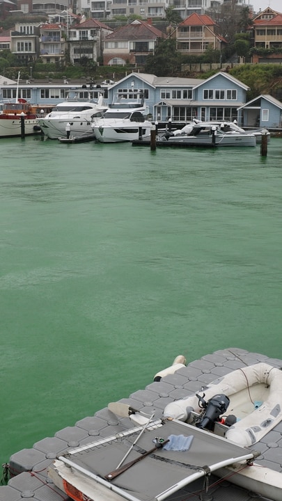 Green water in Sydney Harbour!