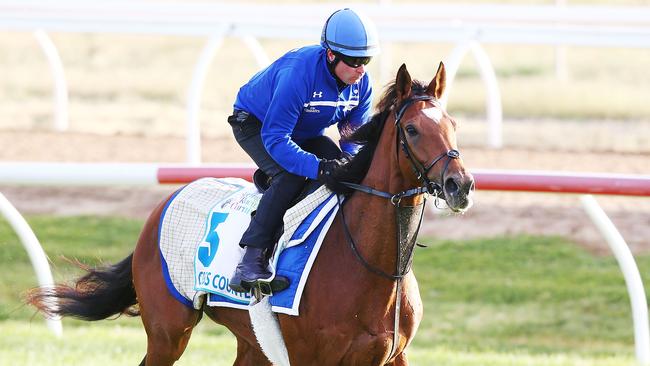 Cross Counter gallops during a Werribee trackwork. Picture: Michael Dodge