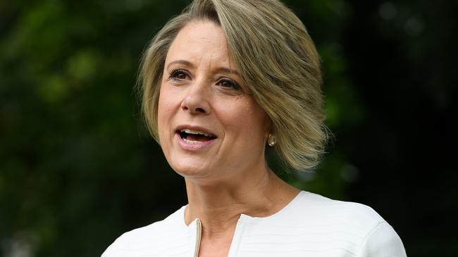 Kristina Keneally said it was both an easy and hard decision to stand. Picture: AAP Image/Dan Himbrechts