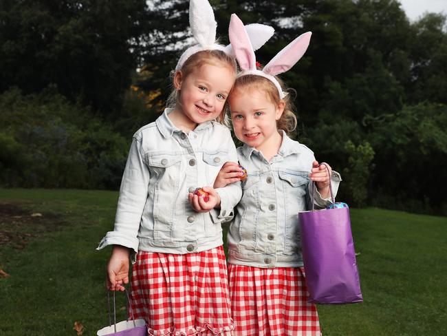 Alexis and twin sister Violet Carr 4 of Hobart.  Easter Egg hunt at the Royal Tasmanian Botanical Gardens for the Royal Hobart Hospital Research Foundation.  Picture: Nikki Davis-Jones