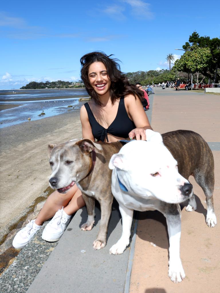 Betty Harrison with pups Sapphira and Kelsey, from Fortitude Valley at Sandgate Beach. Picture: Steve Pohlner