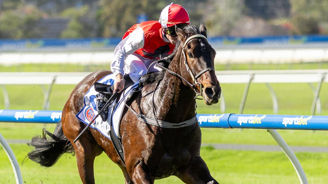 Day has Riche dreams for promising gelding