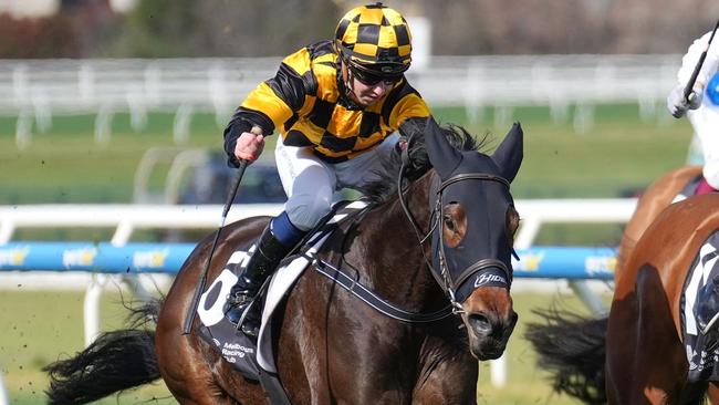 Lovazou overcame difficulties to score for jockey Carleen Hefel and trainer Danny O’Brien at Saturday’s Caulfield meeting. Picture: Racing Photos via Getty Images.