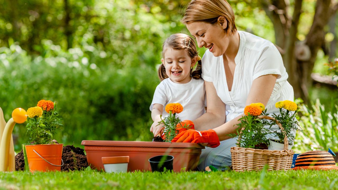 Potting ornamental bowls and basket can add instant potted colour.