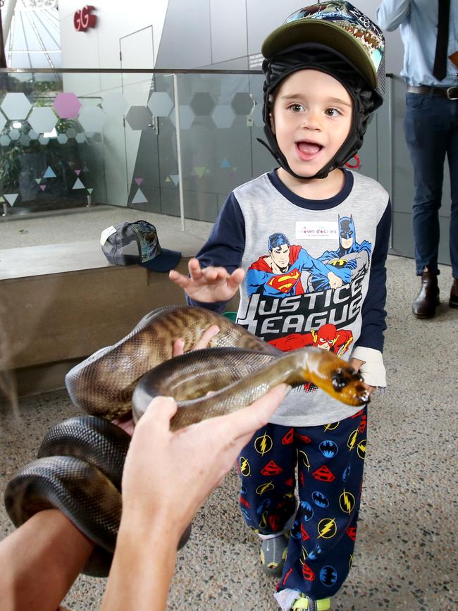 Judd Diab, of Melbourne, at Australia Zoo. Picture: Steve Pohlner