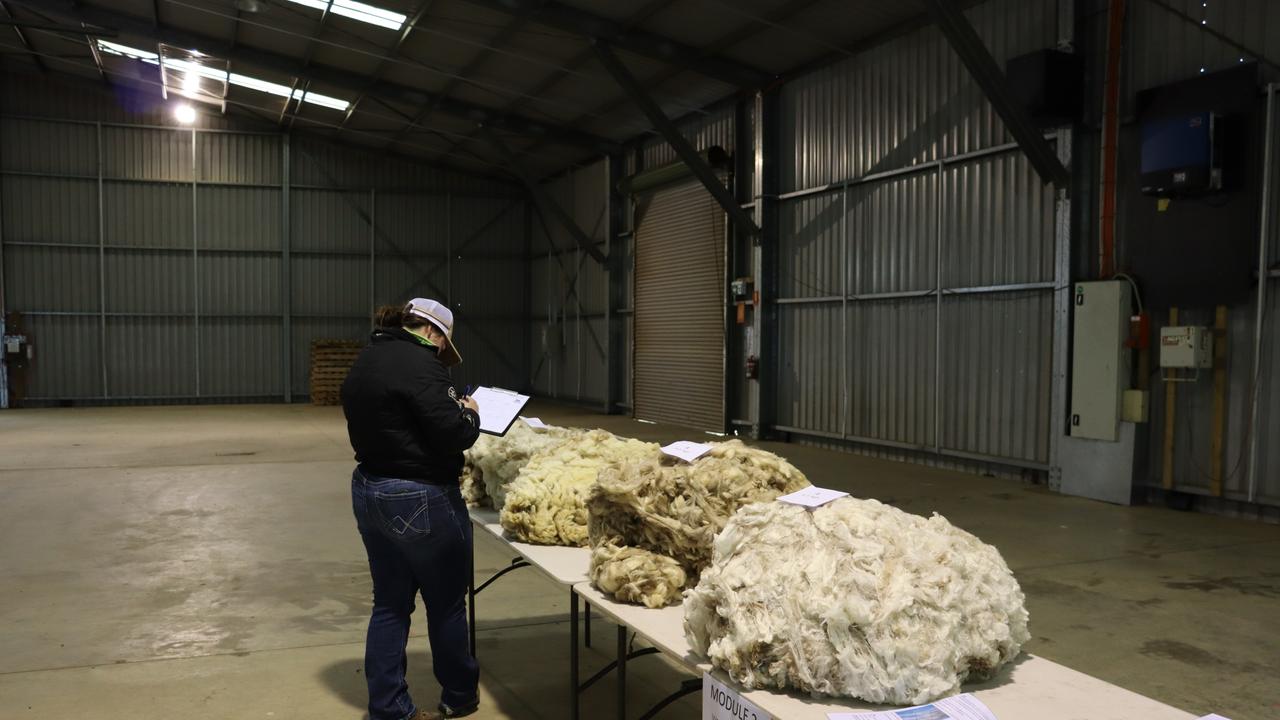 Tasmanian Young Farmer of the Year 2024 finalists will engage in a series of challenges to test their farming expertise, innovation, and problem-solving abilities. Picture: Supplied