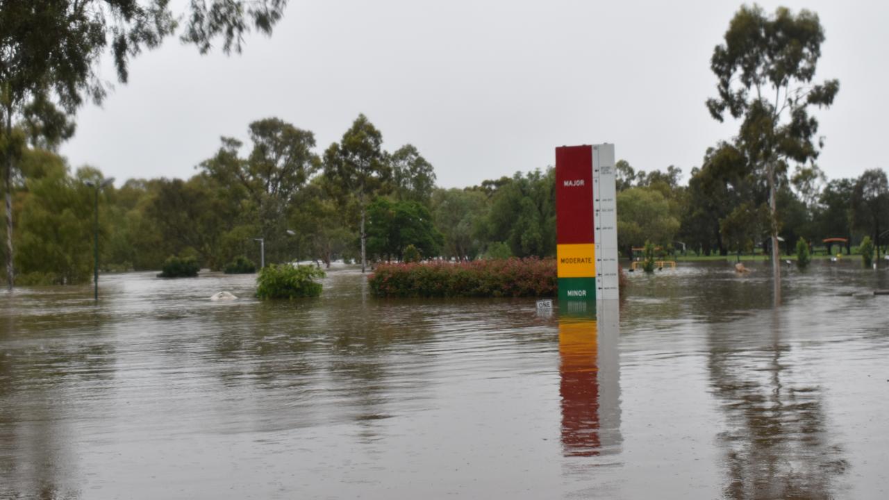 The Tiddalik statue in Warwick's Federation Park can only just be seen above floodwaters as the Condamine River swells past 6m. Picture Jessica Paul / Warwick Daily News