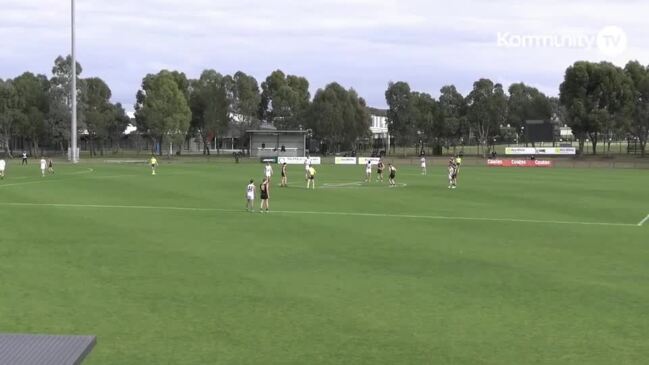 Replay: Murray Bushrangers v Geelong Falcons – AFL Coates Talent League Round 10 (Boys)