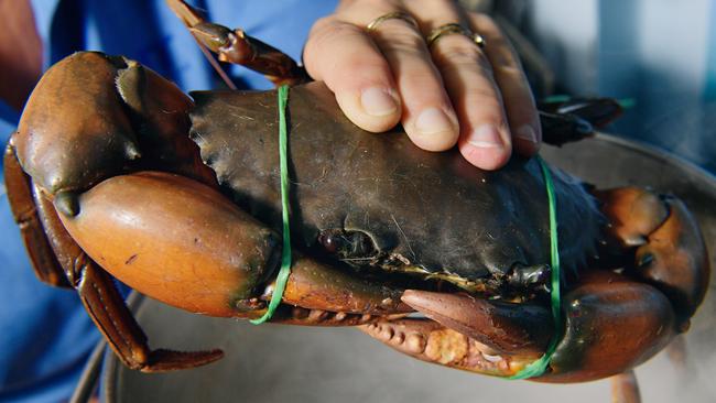 The NT Seafood Council has slammed the Northern Land Council and Territory Government for keeping industry in the dark during negotiations over access to coastal waters.